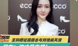 演员王钰爆料视频播放下载,揭秘幕后故事