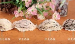 燕窝爆料视频大全,揭秘行业真相与养生误区