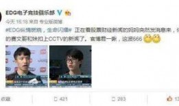 厂长爆料华为事件视频,厂长爆料背后的真相与启示
