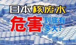 新闻爆料核污水危害大吗,揭秘其潜在危害与应对措施