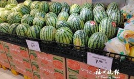 娱乐吐槽吃瓜群众,吃瓜群众热议，明星们如何应对“瓜田”风波