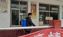 项城中专餐厅最新爆料,揭秘校园美食背后的故事