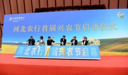 衡水新闻昨天爆料,揭秘昨日重大事件内幕