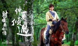 郭靖爆料杭州人视频大全,杭州人生活百态视频大全