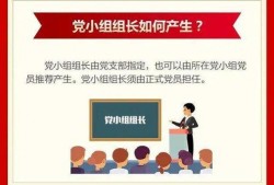 新闻爆料小组职责有哪些,守护舆论监督的先锋力量