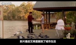 鳄鱼巷在线观看,惊悚悬疑，在线揭秘生死边缘的惊魂之旅