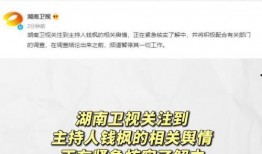 娱乐圈吃瓜日常模板,揭秘明星们的幕后故事与甜蜜瞬间