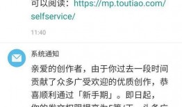 今日头条新人爆料,揭秘热门话题背后的真相