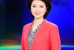 吉林主持人爆料新闻事件,揭秘新闻事件背后真相