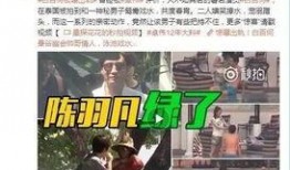 四婶被捉爆料视频大全,揭秘背后惊人真相