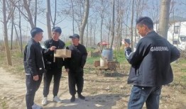 豫东小老弟视频爆料,揭秘背后惊人真相！
