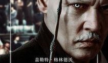 格林德沃回响爆料视频,回响视频揭露神秘势力动向