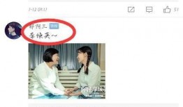 饭圈爆料小花视频,小花视频曝光，神秘事件引发网友热议