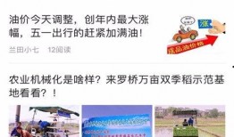 常宁新闻爆料网站有哪些,聚焦本地资讯，洞察民生动态