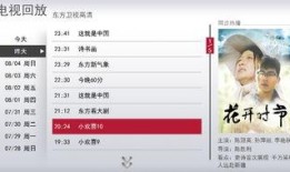 东方卫视直播在线观看华数,华数平台带你实时领略精彩瞬间