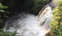 网友爆料山洪视频下载,视频记录大自然无情威力