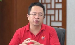 王彬爆料马大帅视频播放,王彬揭露马大帅视频播放背后的真相