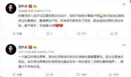 刘作虎亲自爆料视频大全,视频大全背后的故事与幕后花絮