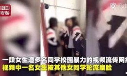 东北女孩爆料视频播放大全,揭秘东北风土人情