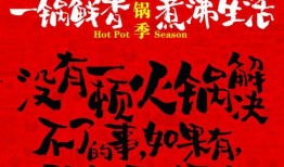 舌尖爆料视频文案素材,揭秘美食背后的故事与传说