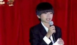 八卦娱乐圈爆料王俊凯,揭秘王俊凯背后的故事与成长轨迹