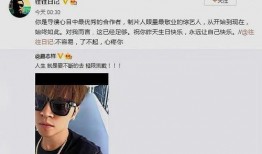 扒姐爆料罗志祥视频播放,罗志祥视频事件幕后真相曝光