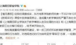 嘉定新闻爆料事件视频,视频揭露惊人真相