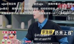 何炅爆料周震南视频大全,视频大全带你领略南南魅力
