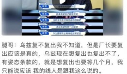 厂长爆料华为事件视频,厂长爆料背后的真相与启示