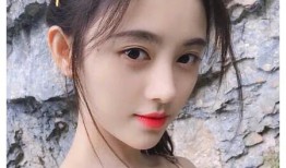 圈内八卦爆料鞠婧祎,揭秘女神背后的故事与争议”