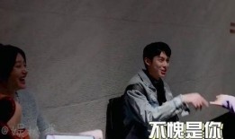 李大锤爆料王鹤棣视频大全,王鹤棣视频大全，精彩瞬间一网打尽